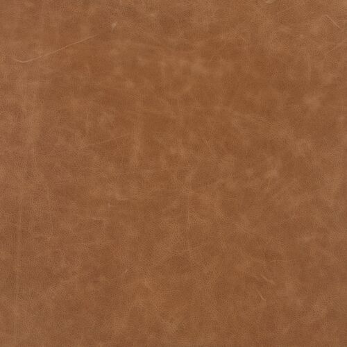 Denver Leather Dining Chair, Butterscotch 6 Denver Leather Dining Chair, Butterscotch